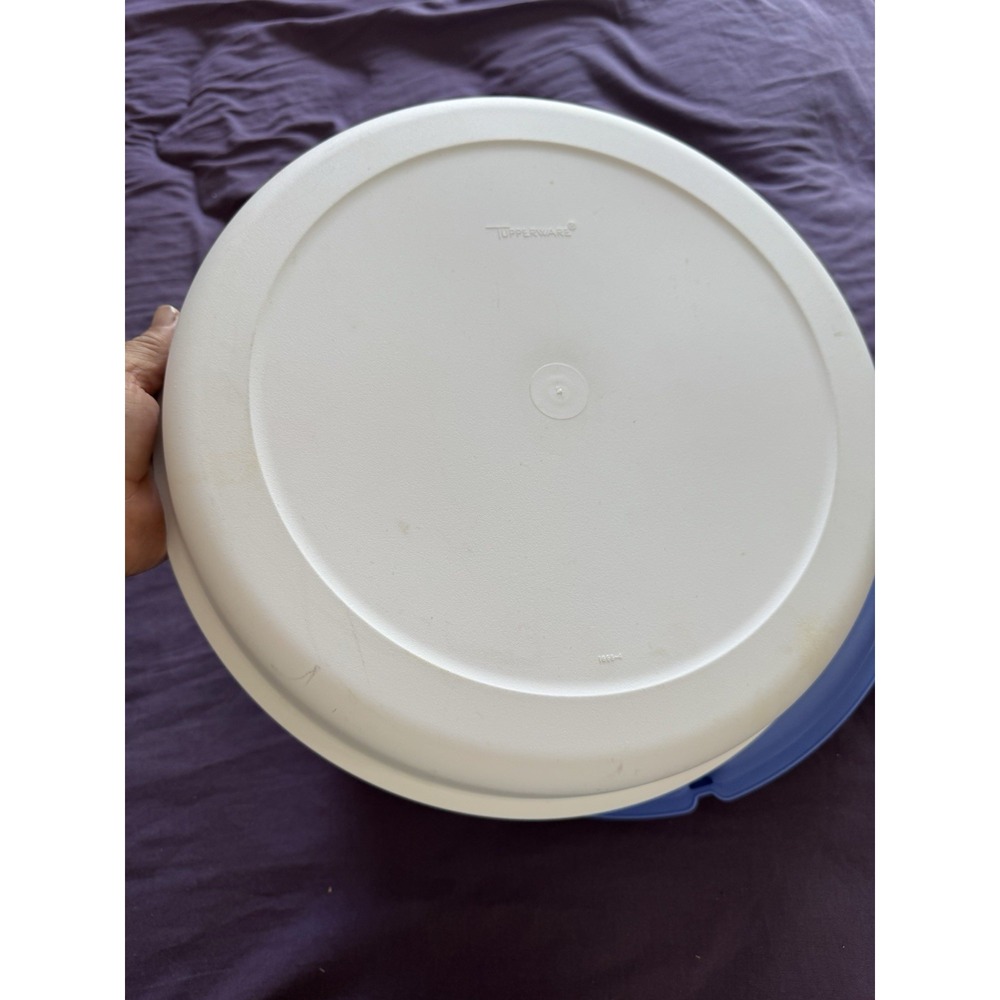 Tupperware Divided Container - Picture 6 of 10